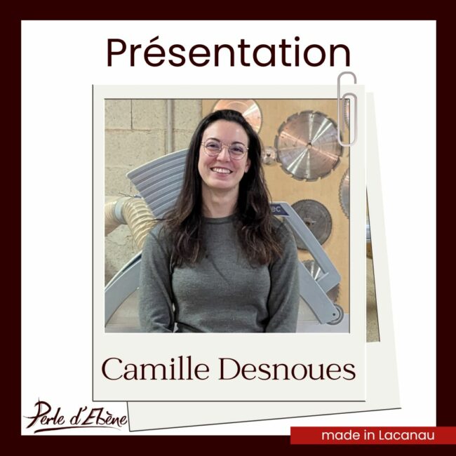 Présentation Camille Desnoues